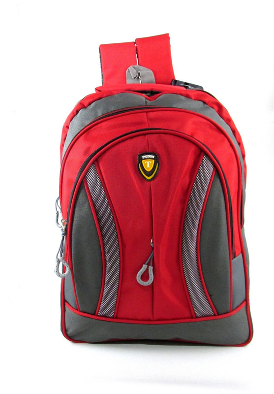 ehuntz Tycoon series (9 to 17 years) (Secondary 3rd Std Plus) Waterproof School Bag(Red, Grey, 20 inch)
