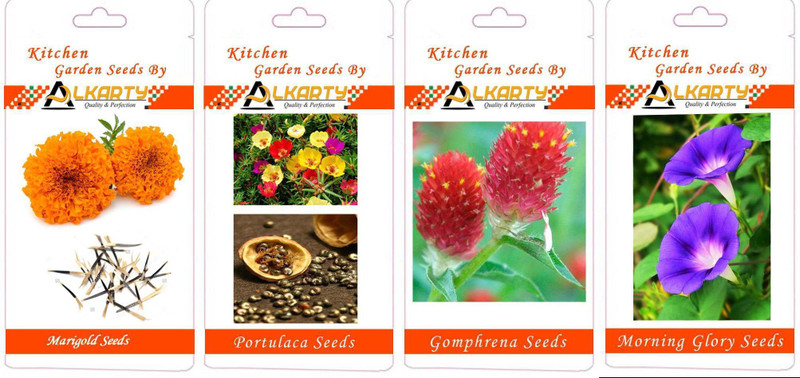 alkarty Marigold, Portulaca, Gomphrena, Morning Glory summer flower seeds pack of 20 each Seed(1 per packet)