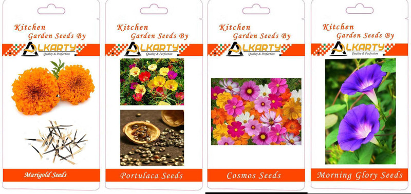 alkarty Marigold, Portulaca, Cosmos, Morning Glory summer flower seeds pack of 20 each Seed(1 per packet)