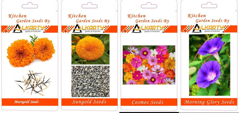 alkarty Marigold, Sungold, Cosmos, Morning Glory summer flower seeds pack of 20 each Seed(1 per packet)