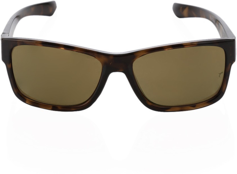 Titan Wayfarer Sunglasses