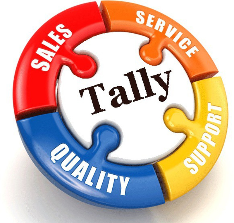 tally Tally ERP9 GST READY Original Silver Single User(one year)