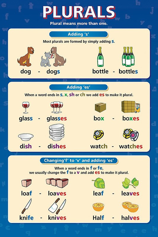 Buy | Plurals | English Chart | Wall Chart | Educational -100yellow ...