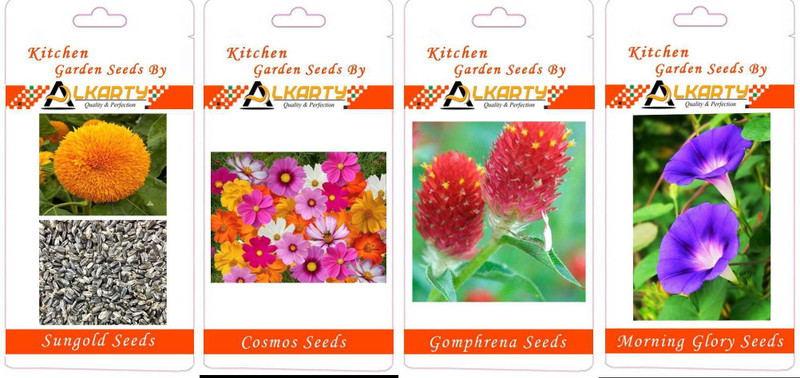 alkarty Flower Seed(4 per packet)