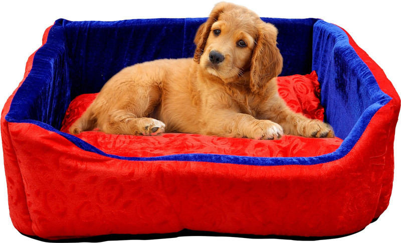 shaurya Middle Dog, Cat House