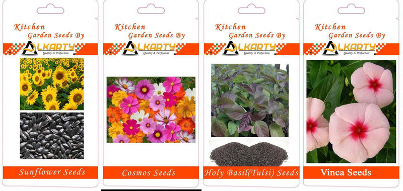 alkarty Flower Seed(4 per packet)
