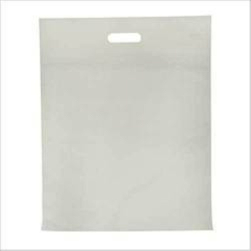 oripol Non-Woven shopping Bag D-Cut (white,10"X14",Pack of 75)(White)