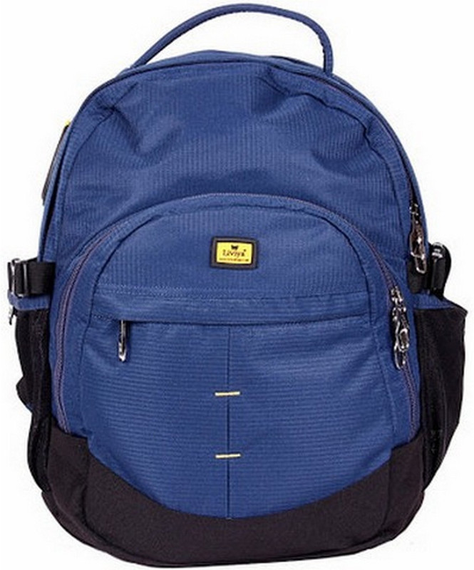 Liviya SB-1188 30 L Backpack(Blue, Black) Liviya SB-1188 30 L Backpack(Blue, Black)