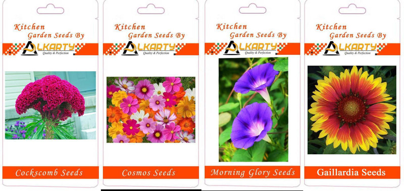 alkarty Flower Seed(4 per packet)