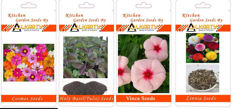 alkarty Flower Seed(4 per packet)