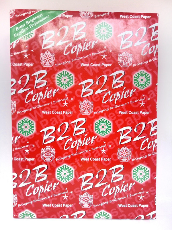 b2b 70 GSM Unruled 210*297 A4 paper(Set of 1, Natural White)