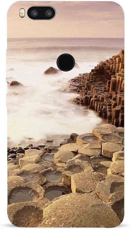 draxon Back Cover for Billion Cature+ Back Case(Multicolor)