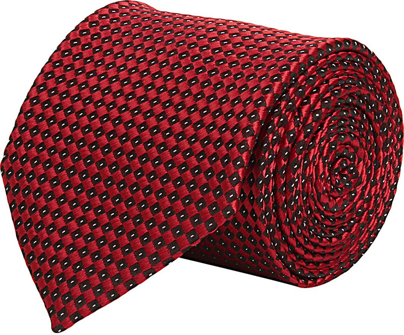 CorpWed Stylish Delight Embroidered Men Tie