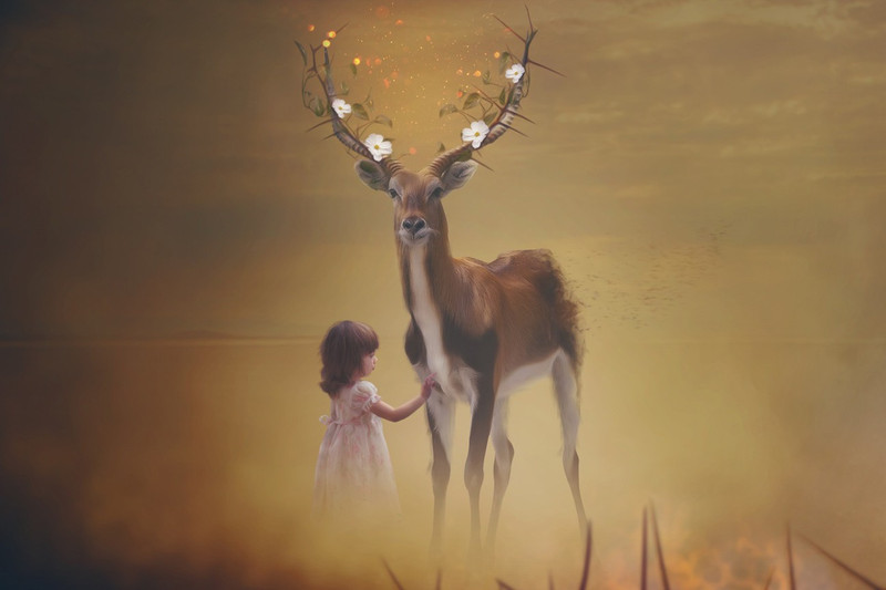 DISTANT DREAMS NATURE PAPER PRINT POSTER Paper Print(12 inch X 18 inch)