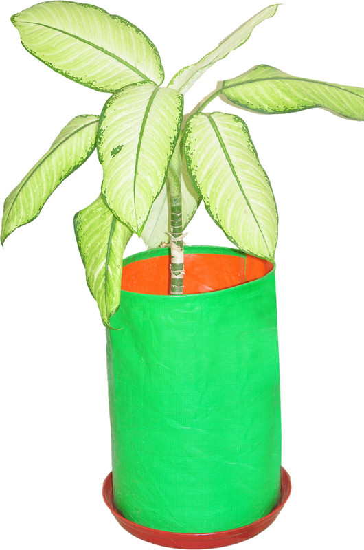 gro smart Hdpe grow bags Plant Container Set(Pack of 5, Plastic)