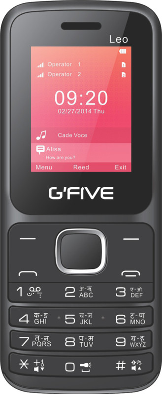 Gfive Leo(Black/Black+Grey)