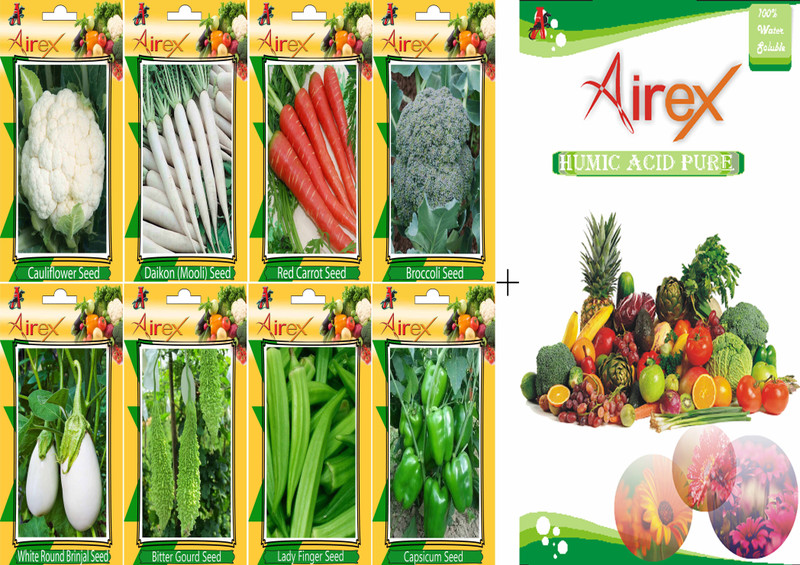 Buy Airex Cauliflower, Radish, Red Carrot, Broccoli, Lady Finger, Green ...