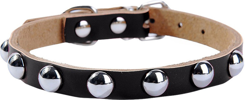 Futaba Adjustable Rivet Studded Leather Dog Collar - Black - S Embellished Dog Collar Charm(Blak, Other)