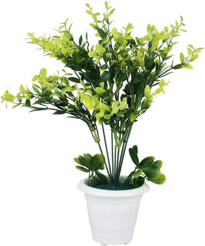 carmer Artificial Plant  with Pot(23 cm, Green)