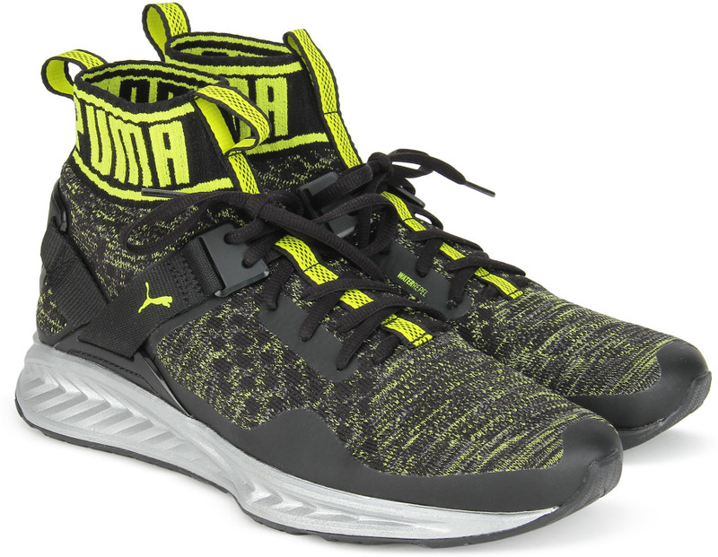 Buy Puma IGNITE evoKNIT NC Running Shoes For Men Multicolor Online at desertcartZimbabwe