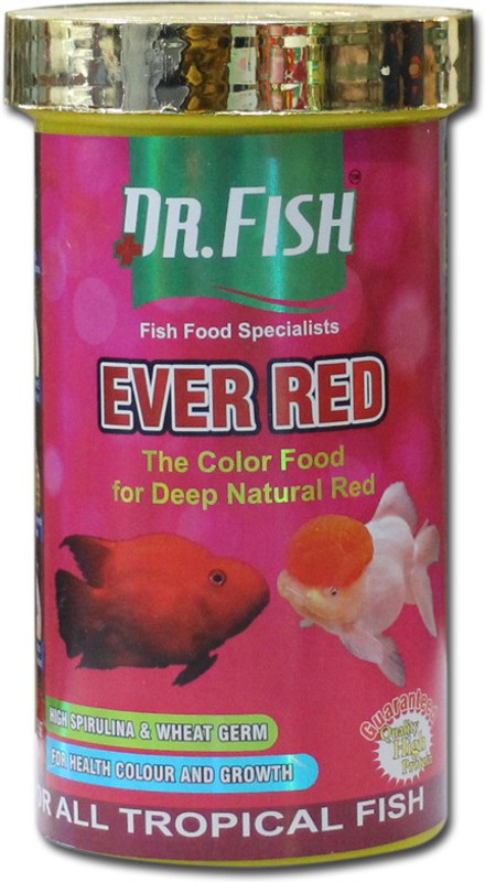dr fish FFDRER-70 Automatic and Manual Fish Feeder(100 g)