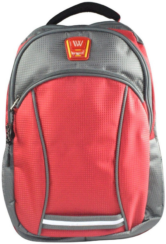 winsor Exclusive Imported casual Backpack 3 L Backpack(Grey)