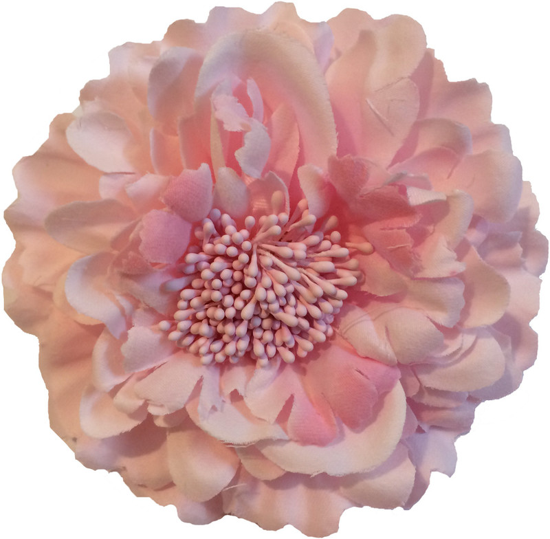 FUNKY BABY HACLIPCAME Hair Clip(Pink)