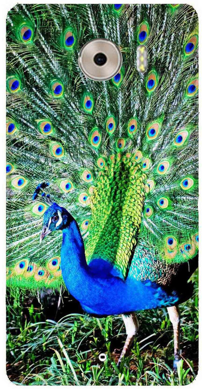 Regally Back Cover for Panasonic P88(Multicolor, Silicon)