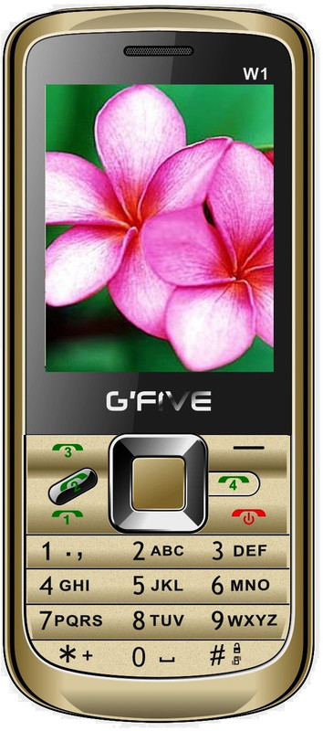 Gfive W1(Golden (Four Sim, 3000 mAh Battery))