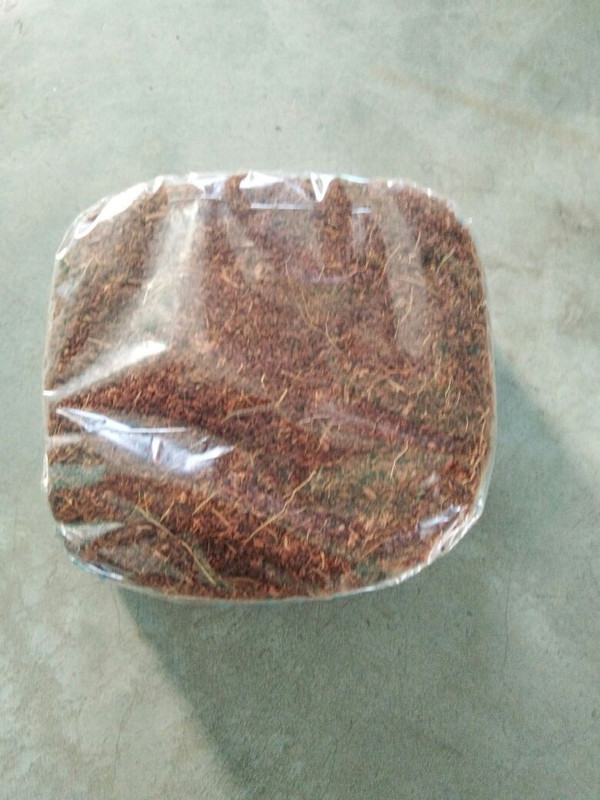 get some deals COCOPEAT Peat for Seed Germination / Potting Media Plant(Hybrid, Pack of 1, Shrub)