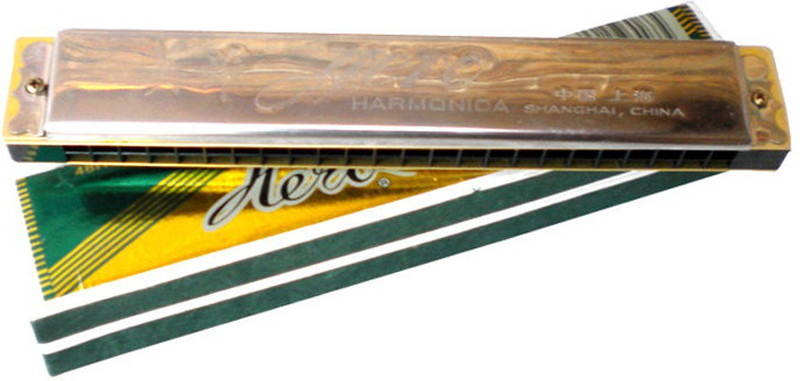 AEC New Musical Hero Mouth Organ(Brushed Silver)