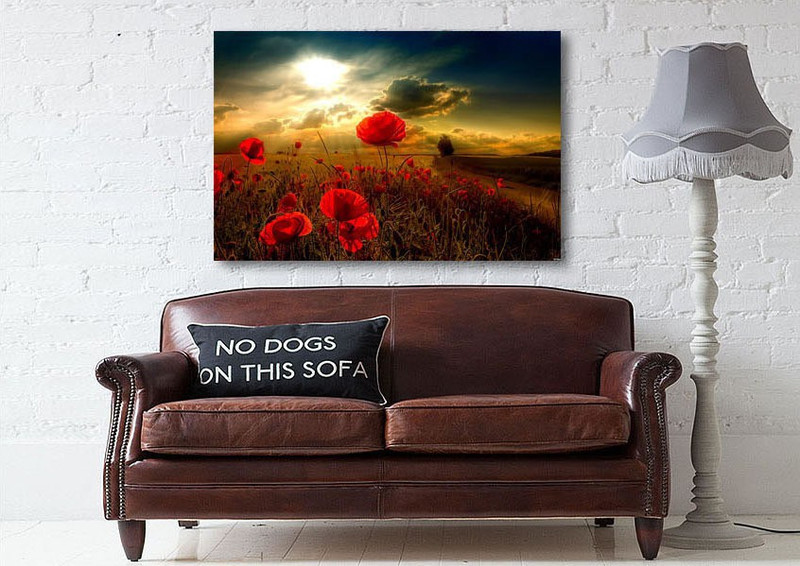 paper plane design Canvas wooden box framed painting Landscape Floral Sunlight Poppies Canvas Art Prints Decor Home Bedroom Decor Painting Natural Colors 12 inch x 18 inch Painting
