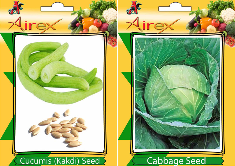 Airex Cucumis, Cabbage Seed(15 per packet)