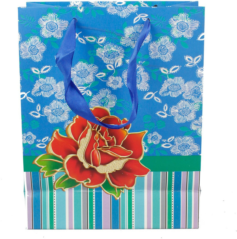 VEGAINTER Ms-12 Multipurpose Bag(Blue, 5 L)