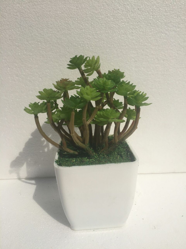 carmer Artificial Plant  with Pot(16 cm, Green)