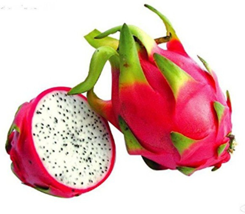 vs global DRAGON FRUIT Seed(50 per packet)