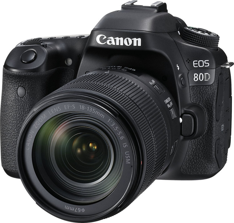 Canon EOS 80D DSLR Camera Body with Single Lens: EF-S 18-135 IS USM (16 GB SD Card)(Black)