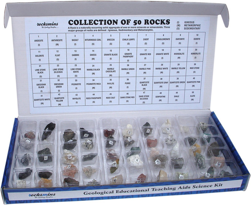 rocksmins Collection of 50 Rocks in Partition Tray for Education(Multicolor)