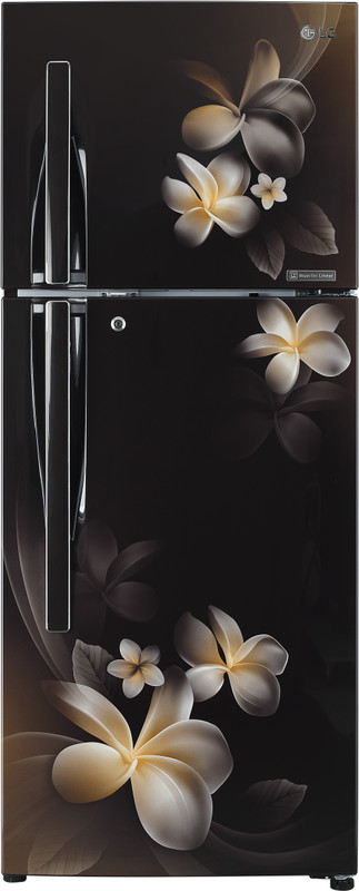 LG 260 L Frost Free Double Door 4 Star Refrigerator(Hazel Plumeria, GL-T292RHPN) LG 260 L Frost Free Double Door 4 Star Refrigerator(Hazel Plumeria, GL-T292RHPN)