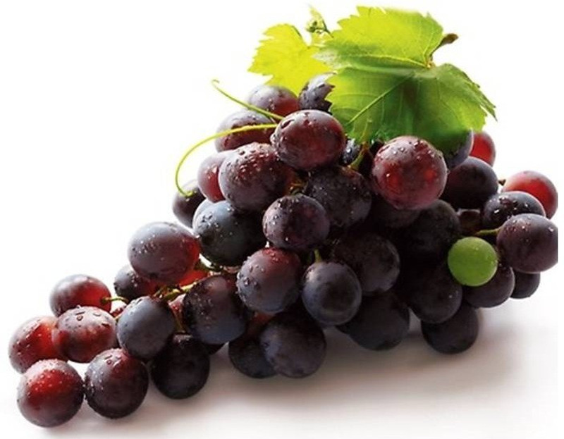 greenly Imported Bonsai Potted Black Grapes seeds Seed(20 per packet)