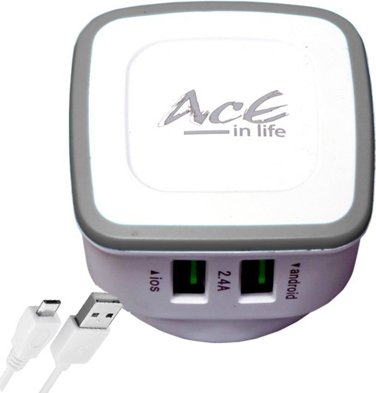 aaceinlife GR-2112 Mobile Charger(Gray, Cable Included)