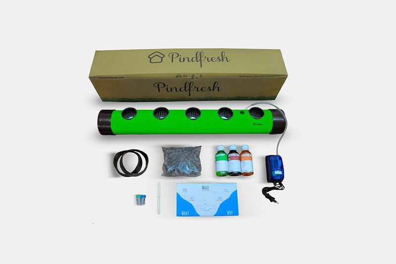 pindfresh Hydroponic Home Kit - The Pindpipe Plant Container Set(Pack of 5, Plastic)