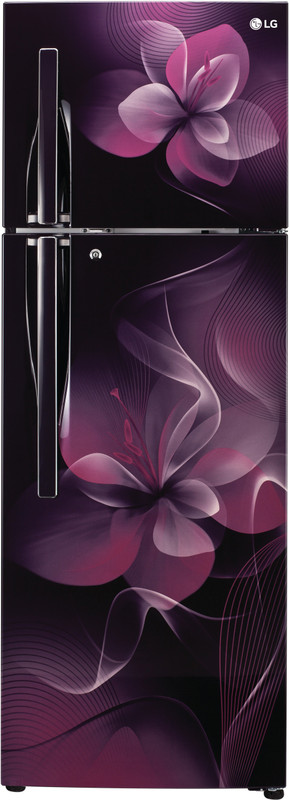 LG 308 L Frost Free Double Door 3 Star Refrigerator(Purple Dazzle, GL-T322RPDU) LG 308 L Frost Free Double Door 3 Star Refrigerator(Purple Dazzle, GL-T322RPDU)