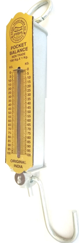 Divye Electronics Solutions 100 kg Spring Balance Weighing Scale (Multicolor) Weighing Scale(Multicolor)