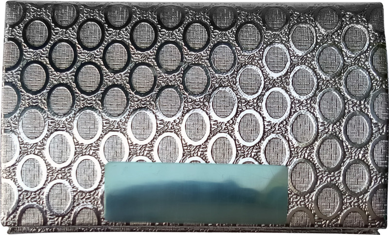 printmytsic 10 Card Holder(Set of 1, Silver)