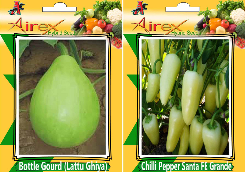 Buy Airex Bottle Gourd (Lattu Ghiya) and Chilli Pepper Santa FE Grande