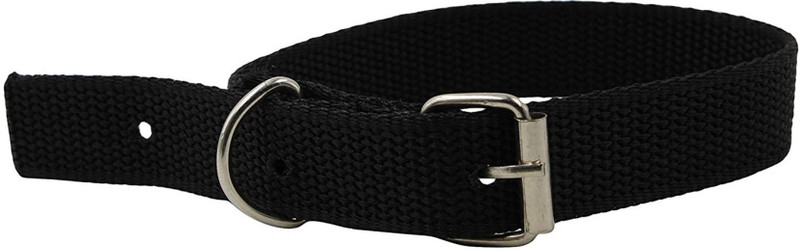 dog-collar-black-pp-medium-tradesk-original-imaf4hh3xtjdpcuh.jpeg