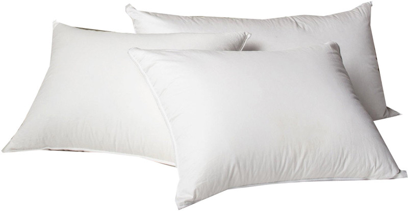 littlebirds Cotton square sofa .bed Back Cushion Pack of 3(White)