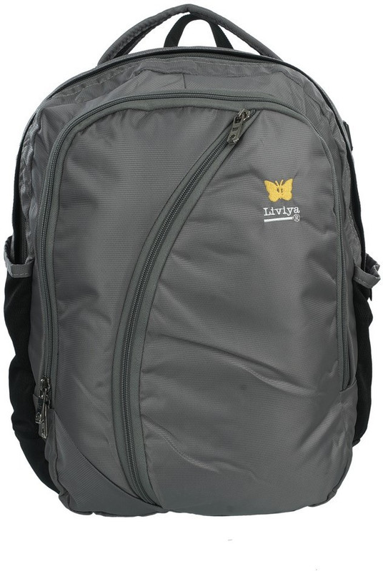 Liviya SB694LV 38 L Backpack(Grey): Buy 