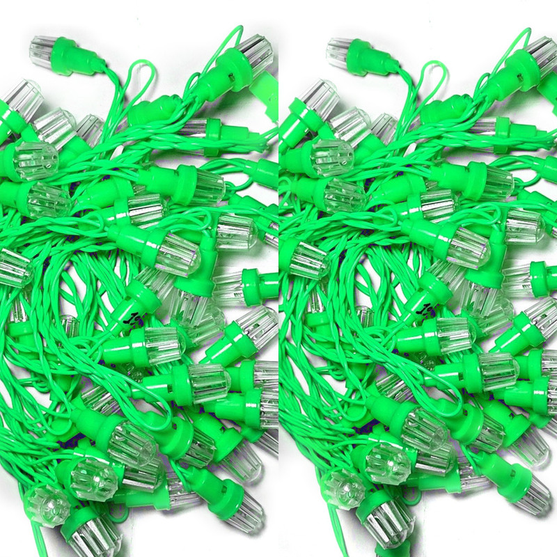 indian lights 480 inch Green Rice Lights(Pack of 2)
